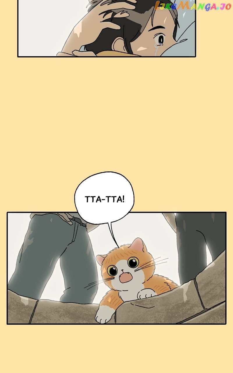 Tata The Cat - Chapter 24