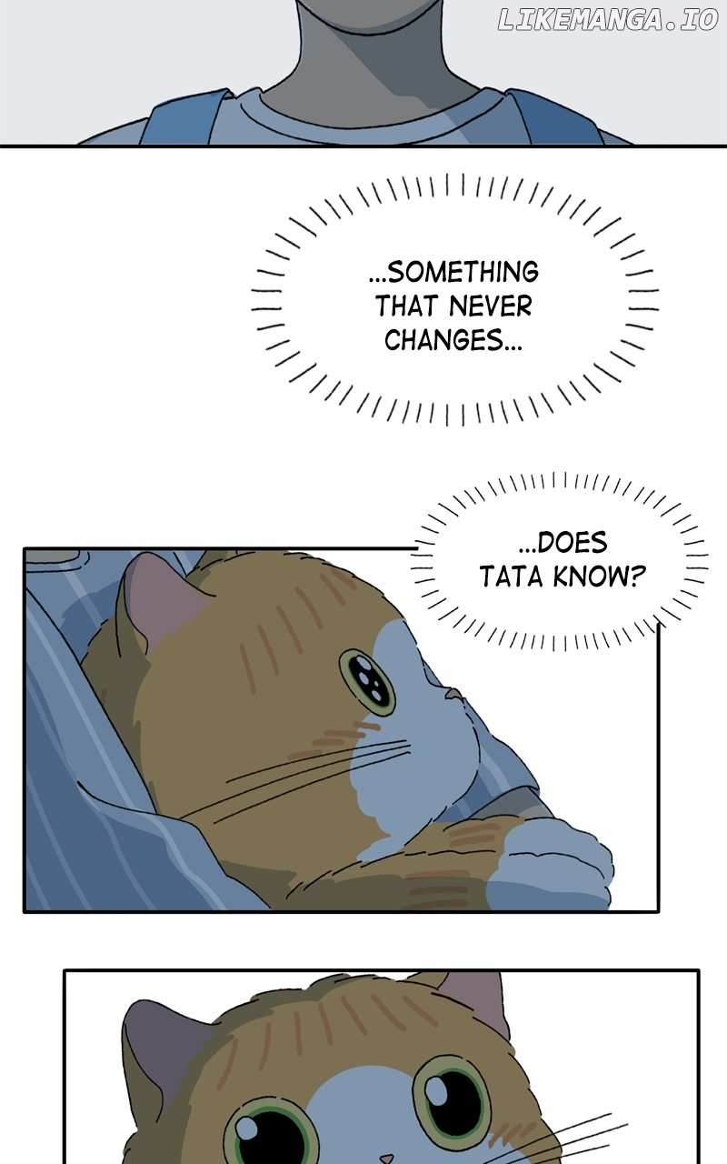 Tata The Cat - Chapter 42