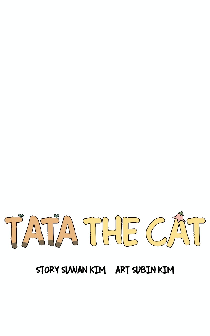 Tata The Cat - Chapter 11