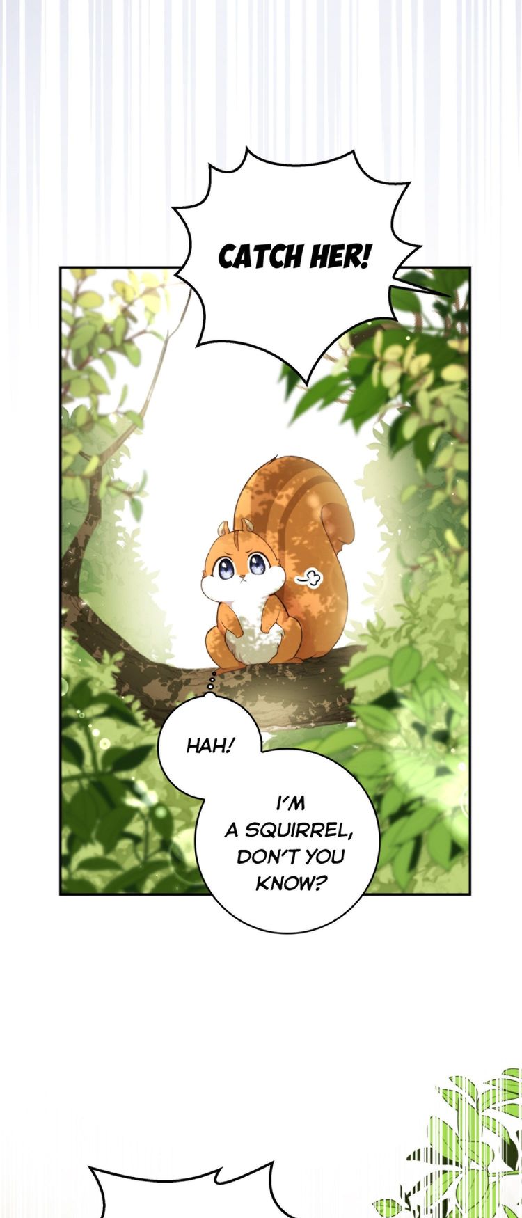 Talented Baby Squirrel - Chapter 2.05