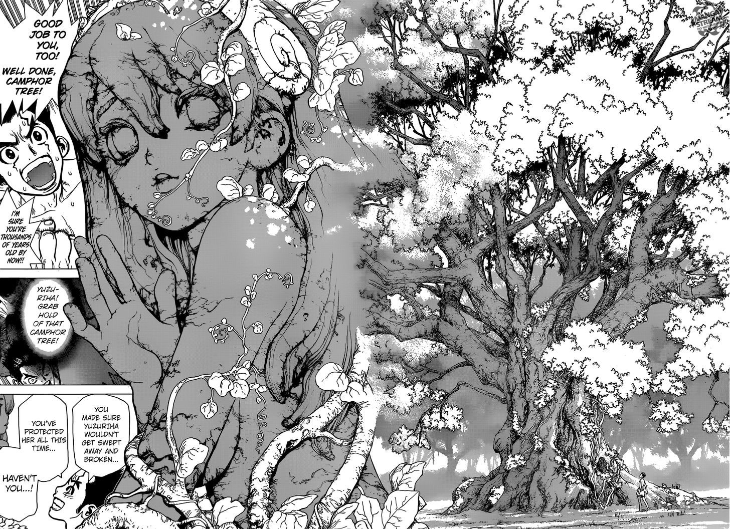 Dr. Stone - Chapter 1 : Stone World