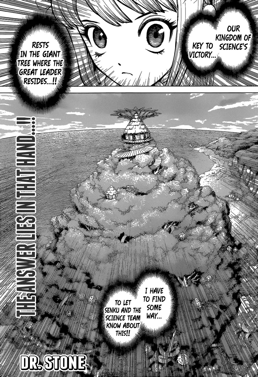 Dr. Stone - Chapter 113: The Science Of Encoded Communication