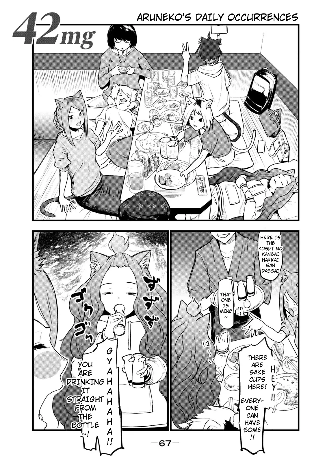 Yani Neko - Vol.2 Chapter 44: 42Mg