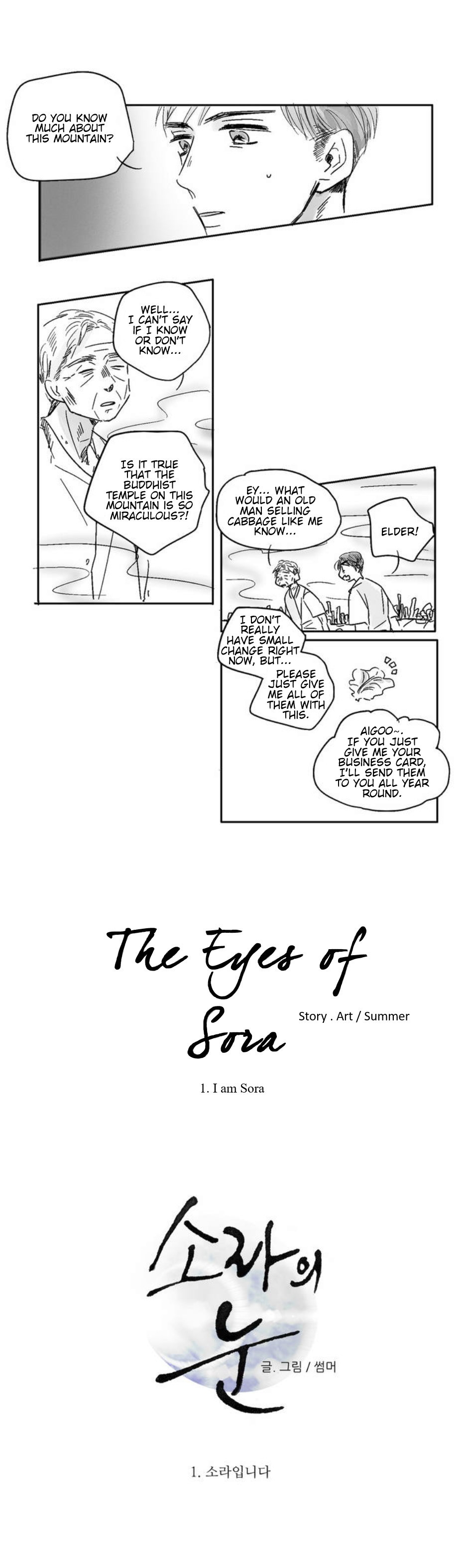 The Eyes Of Sora - Chapter 1: I Am Sora