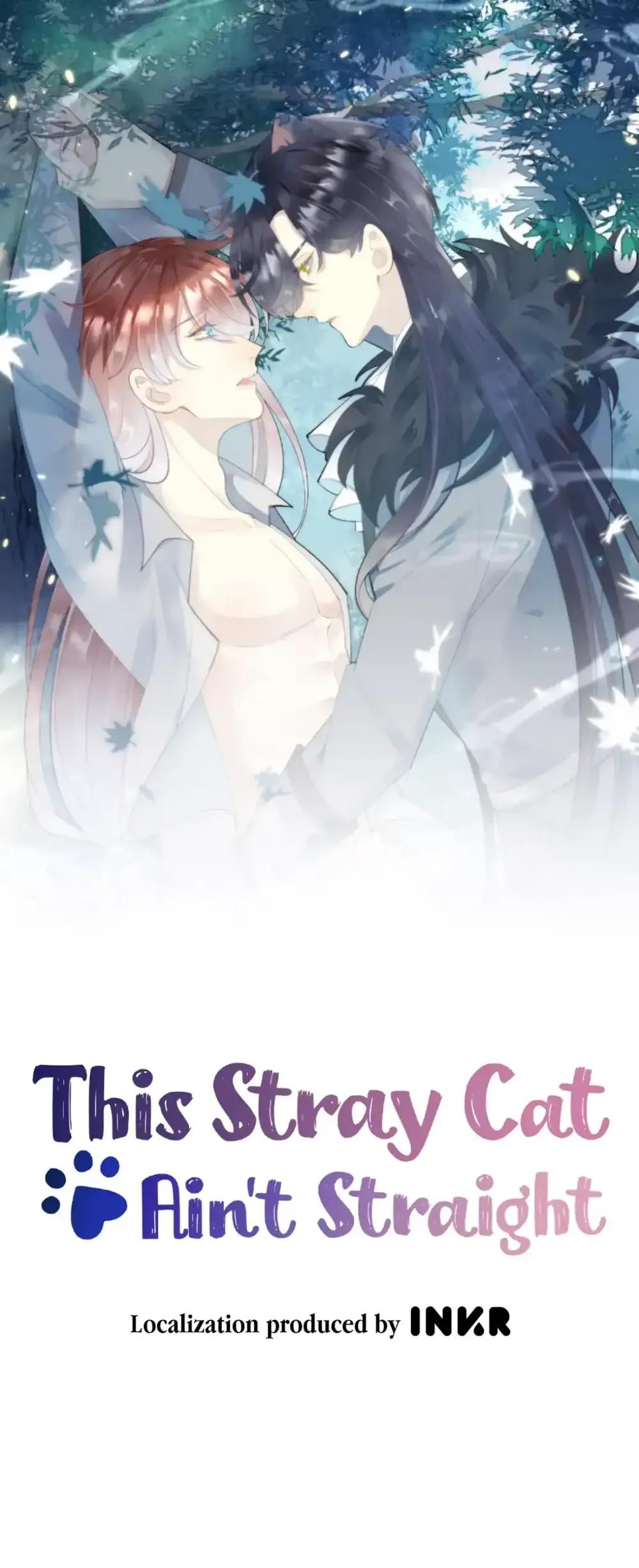 This Stray Cat Ain't Straight - Chapter 31