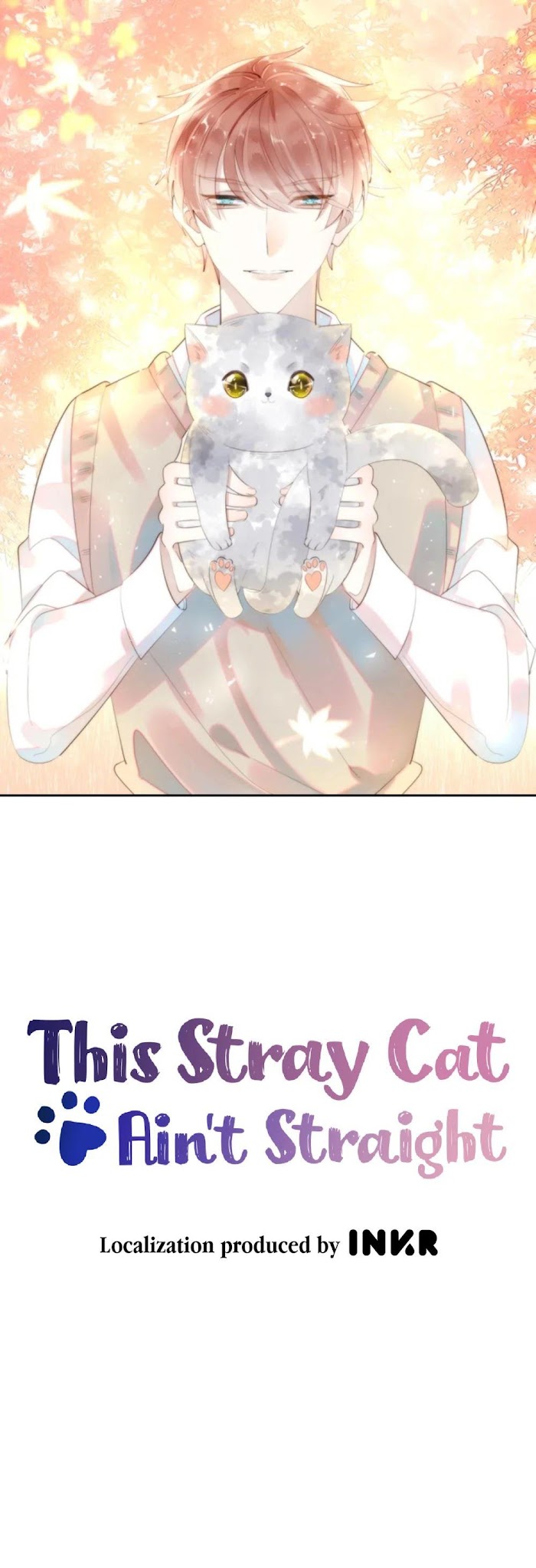 This Stray Cat Ain't Straight - Chapter 4