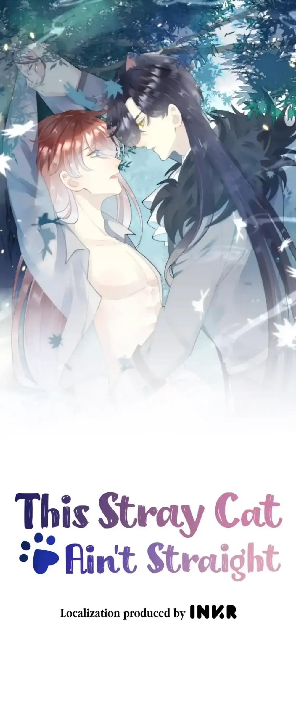 This Stray Cat Ain't Straight - Chapter 47