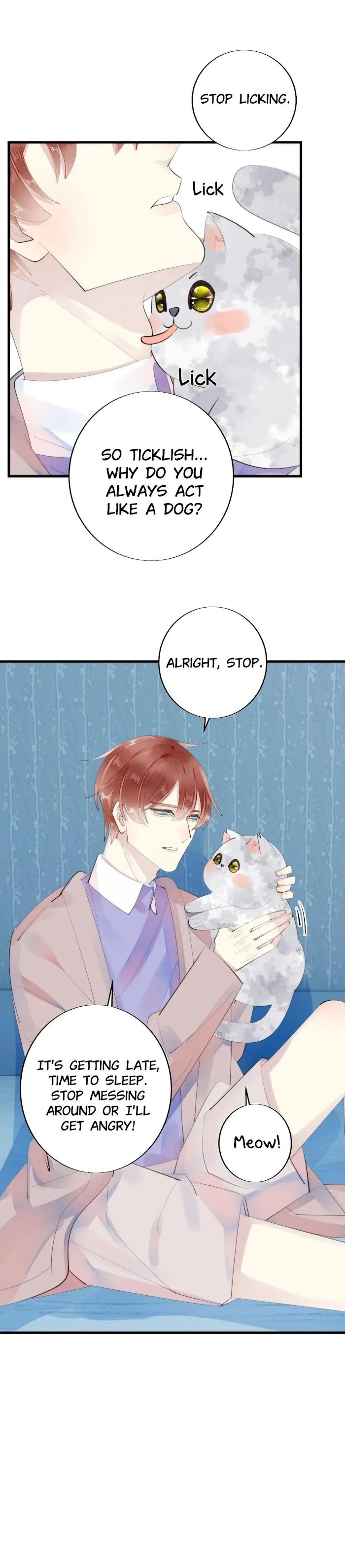 This Stray Cat Ain't Straight - Chapter 16