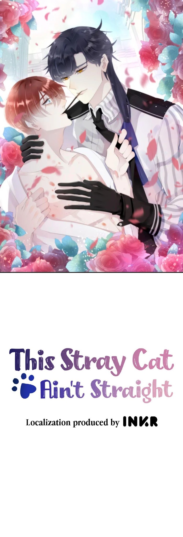 This Stray Cat Ain't Straight - Chapter 10