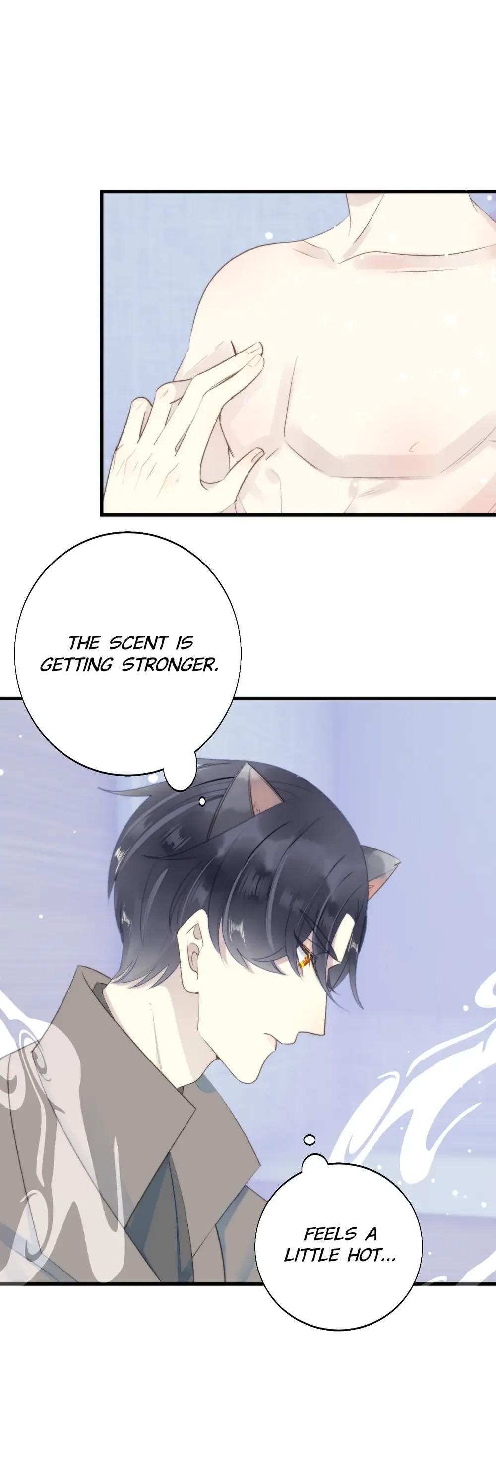 This Stray Cat Ain't Straight - Chapter 39