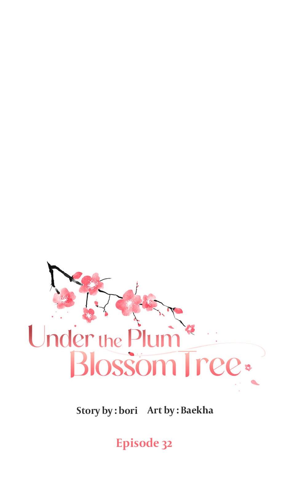 Plum Blossom Shade - Chapter 32