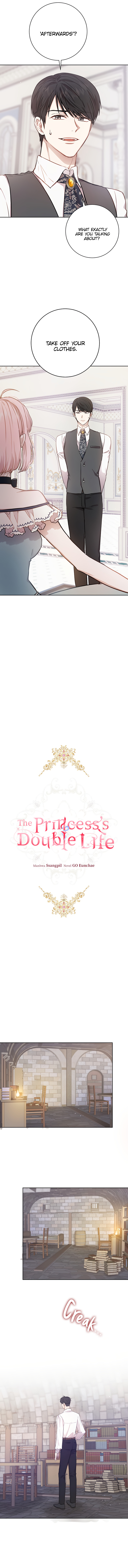 The Princess's Double Life - Chapter 14