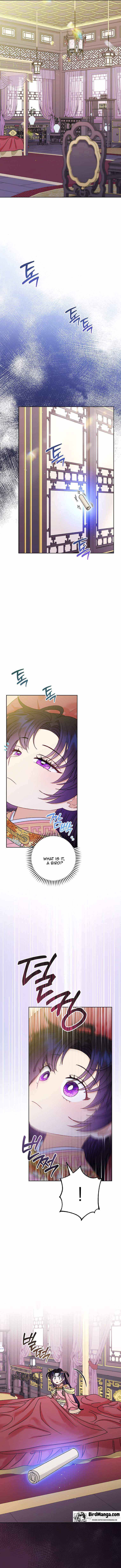 The Baby Concubine Wants To Live Quietly - Chapter 36