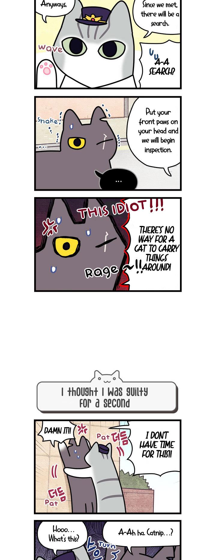 Cats Own The World - Vol.1 Chapter 55