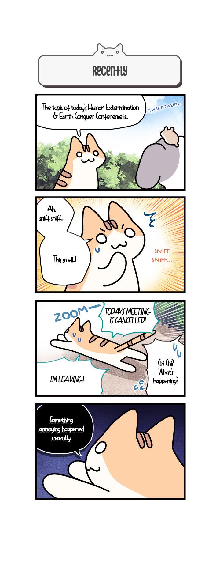 Cats Own The World - Vol.1 Chapter 61