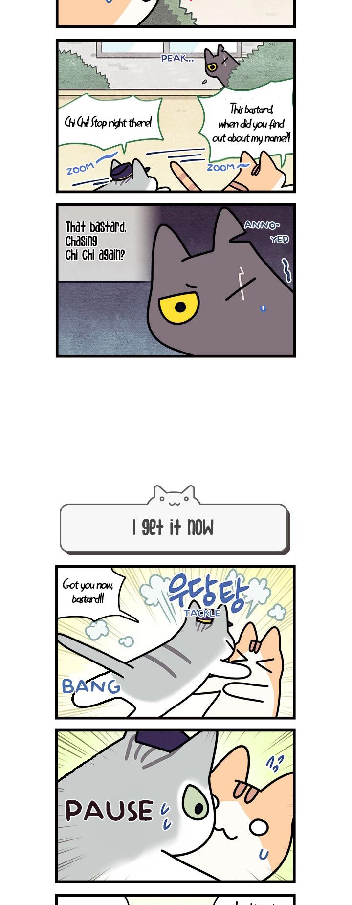 Cats Own The World - Vol.1 Chapter 61