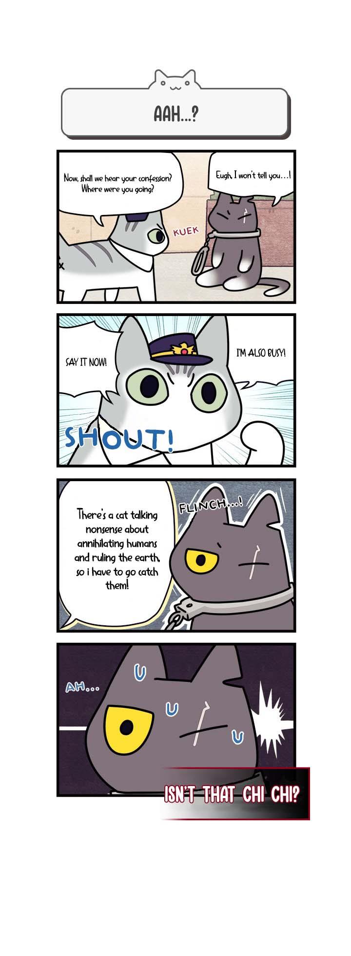 Cats Own The World - Vol.1 Chapter 56