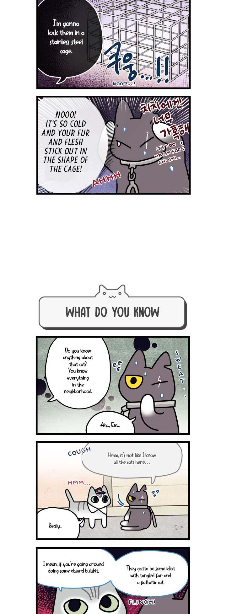 Cats Own The World - Vol.1 Chapter 56