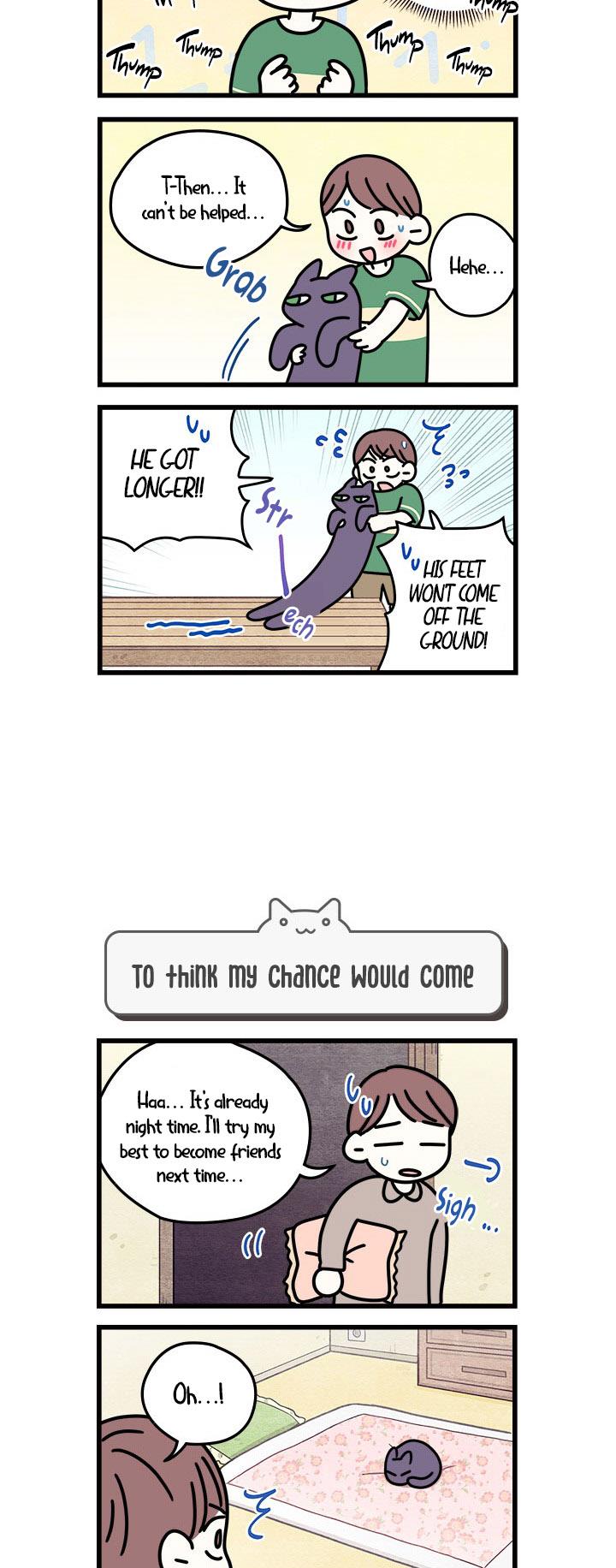 Cats Own The World - Vol.1 Chapter 53