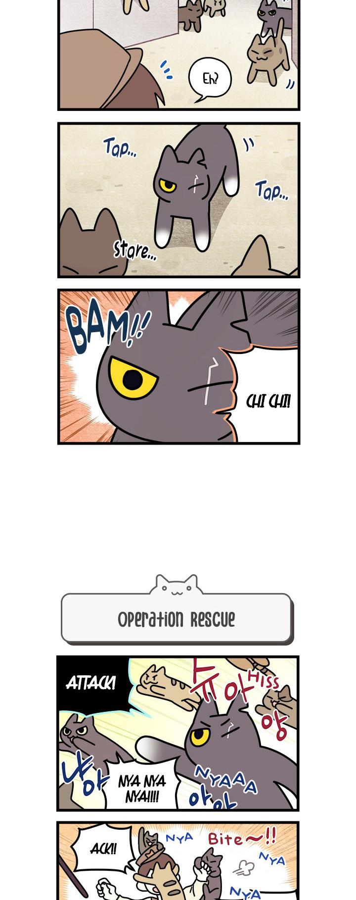 Cats Own The World - Vol.1 Chapter 50: Chp. 50