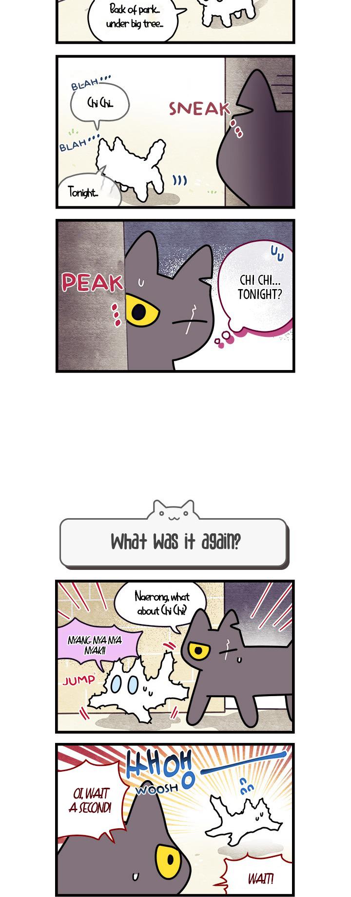 Cats Own The World - Vol.1 Chapter 66