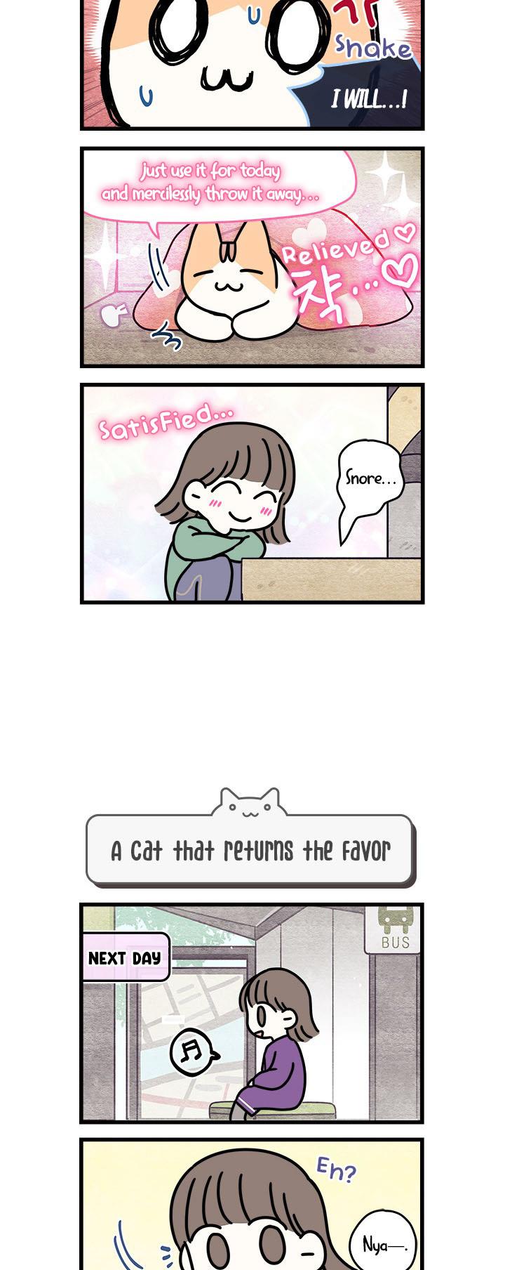 Cats Own The World - Vol.1 Chapter 51: Chapter 51.