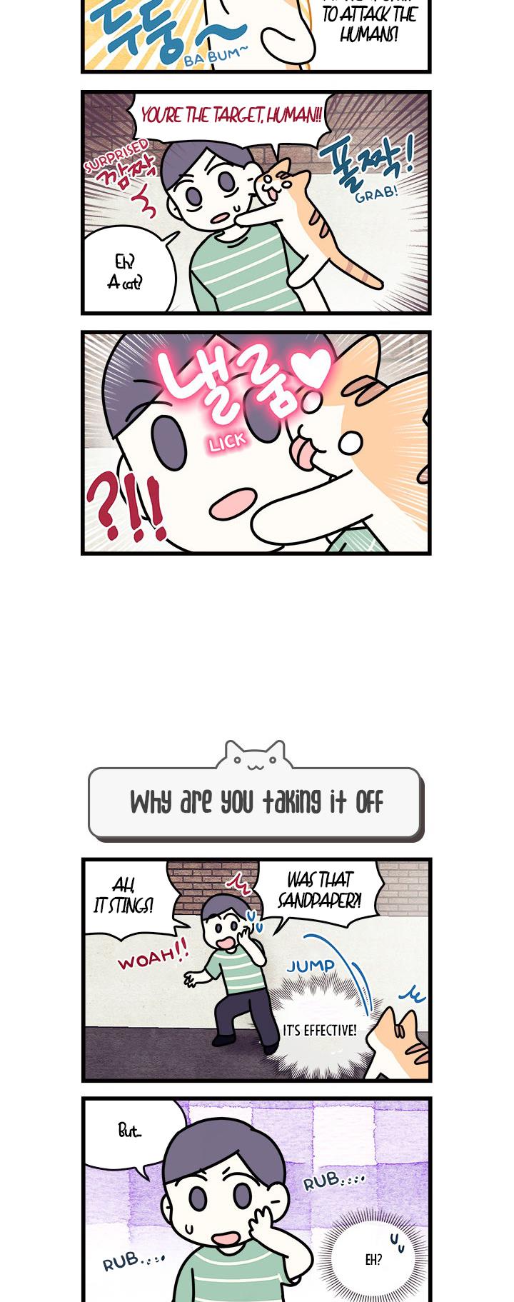 Cats Own The World - Vol.1 Chapter 67