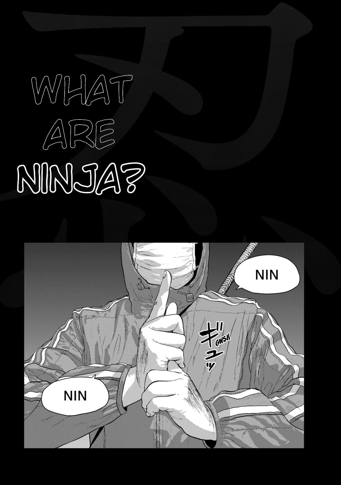 Under Ninja Nin Nin Official Manual - Chapter 2: What Are Ninja?