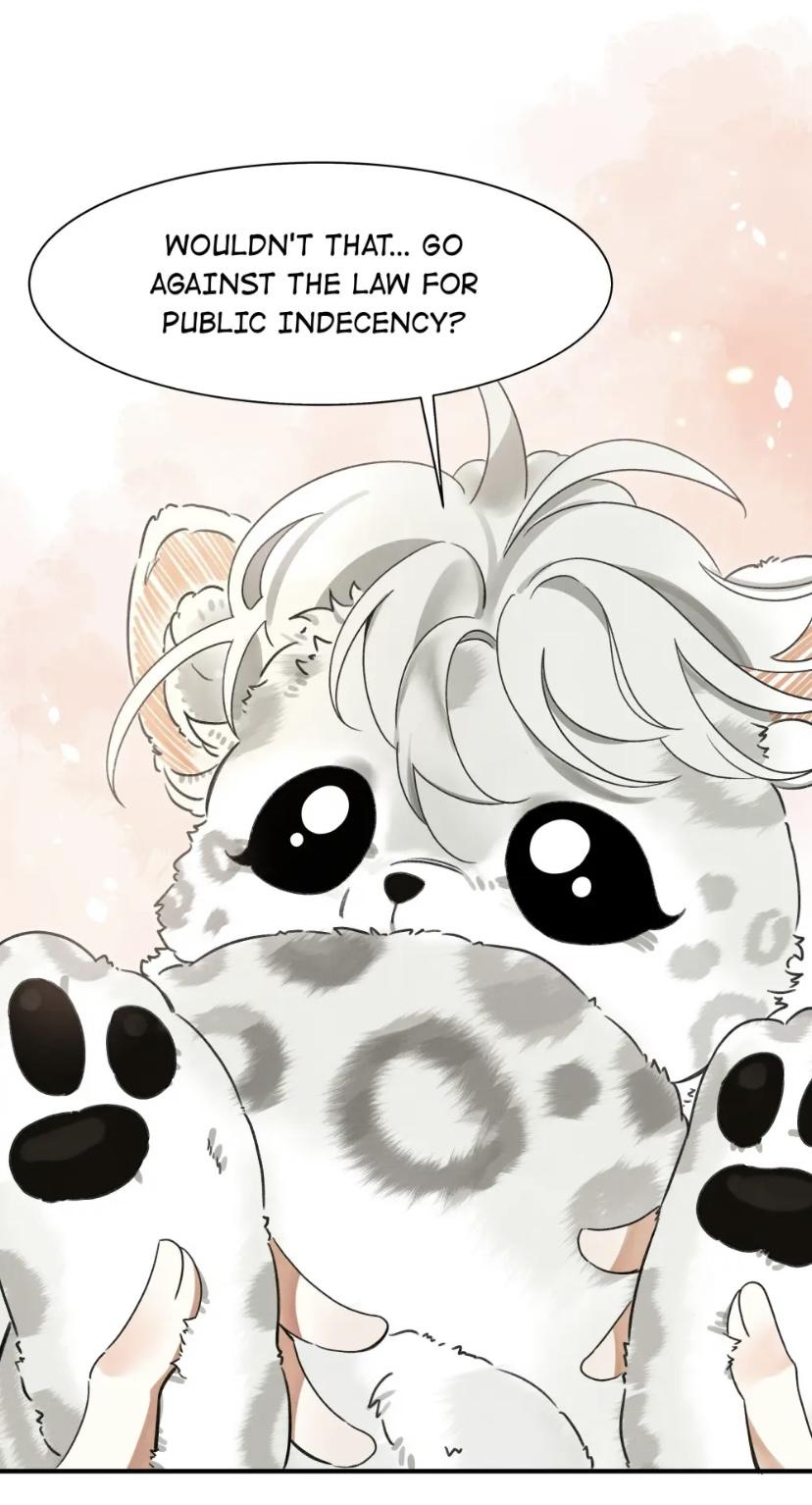 The Tail And Tale Of A Snow Leopard - Chapter 1