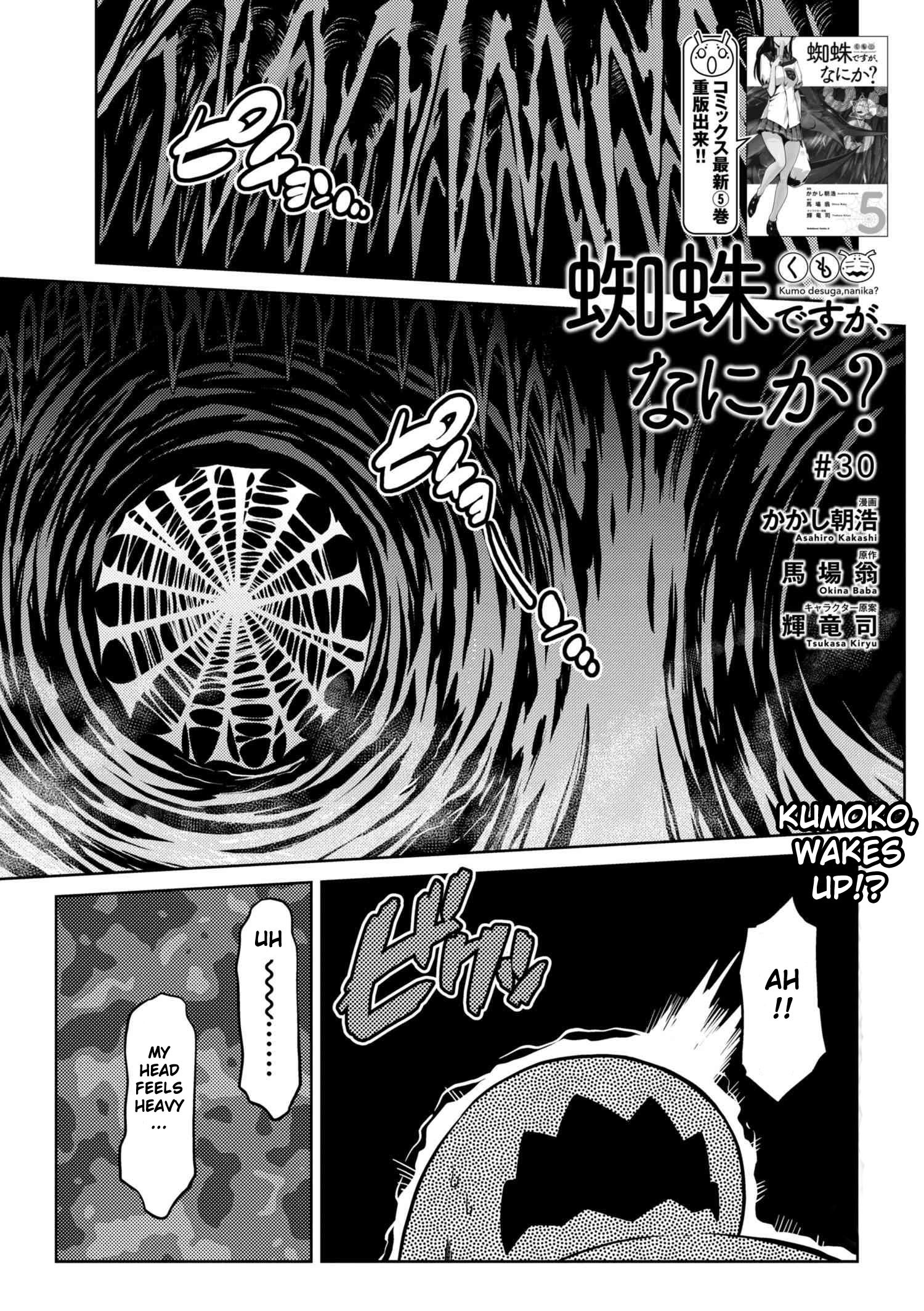 Kumo Desu Ga, Nani Ka? - Chapter 30.1