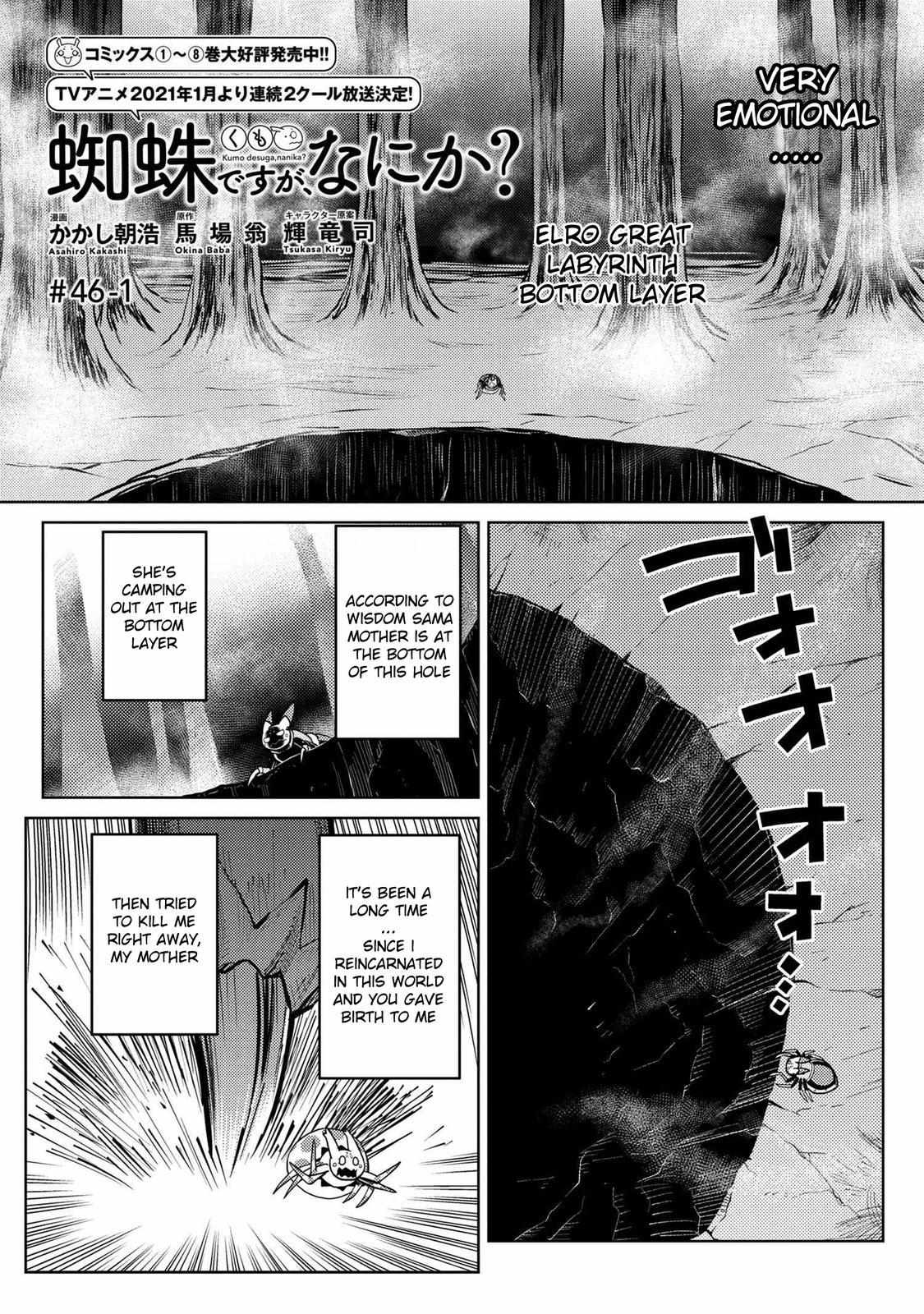 Kumo Desu Ga, Nani Ka? - Chapter 49.5