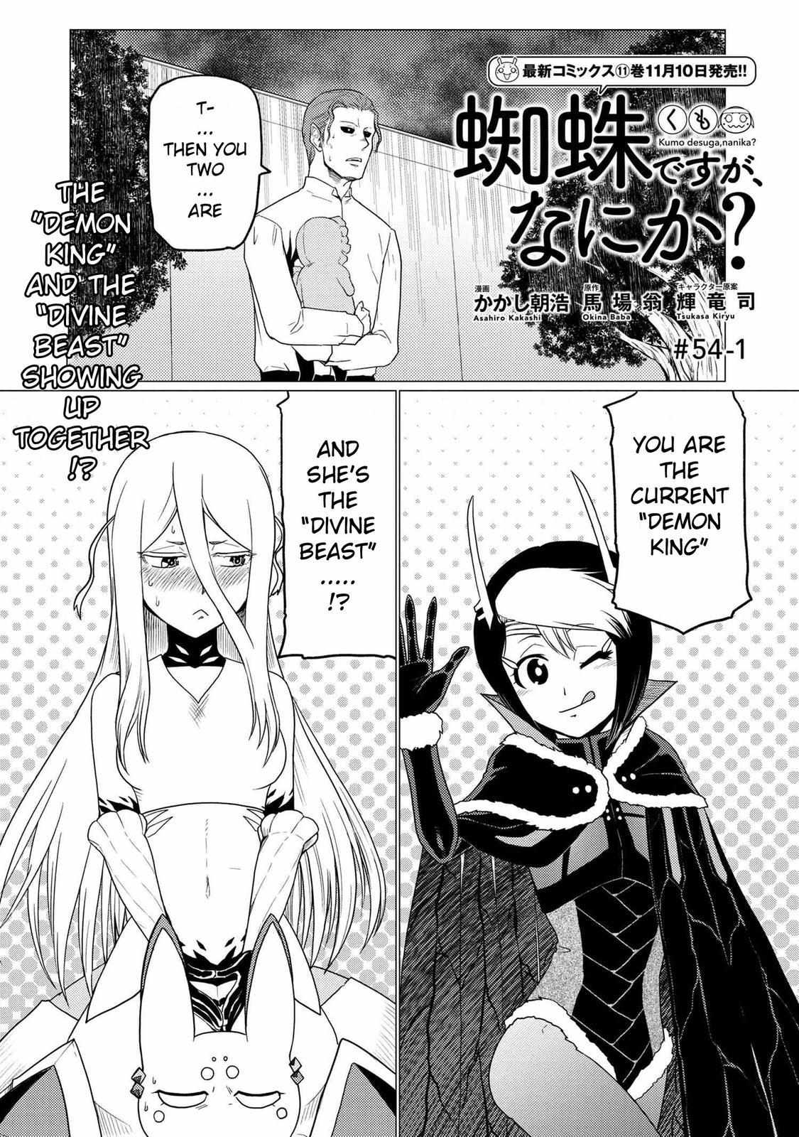 Kumo Desu Ga, Nani Ka? - Chapter 54.5