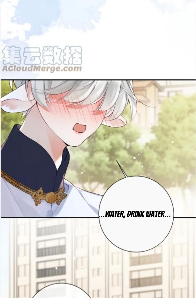 Hey Little Fox, You Drop Your Lover! - Chapter 38