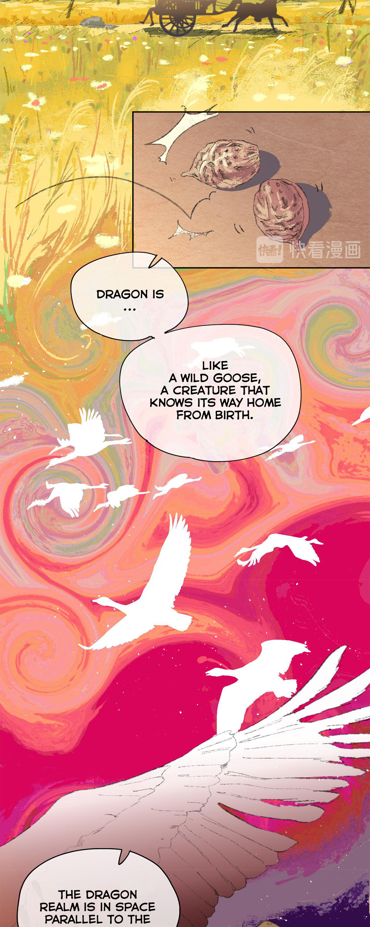 It’s Sunny Today, Partially Dropped Dragon! - Chapter 5