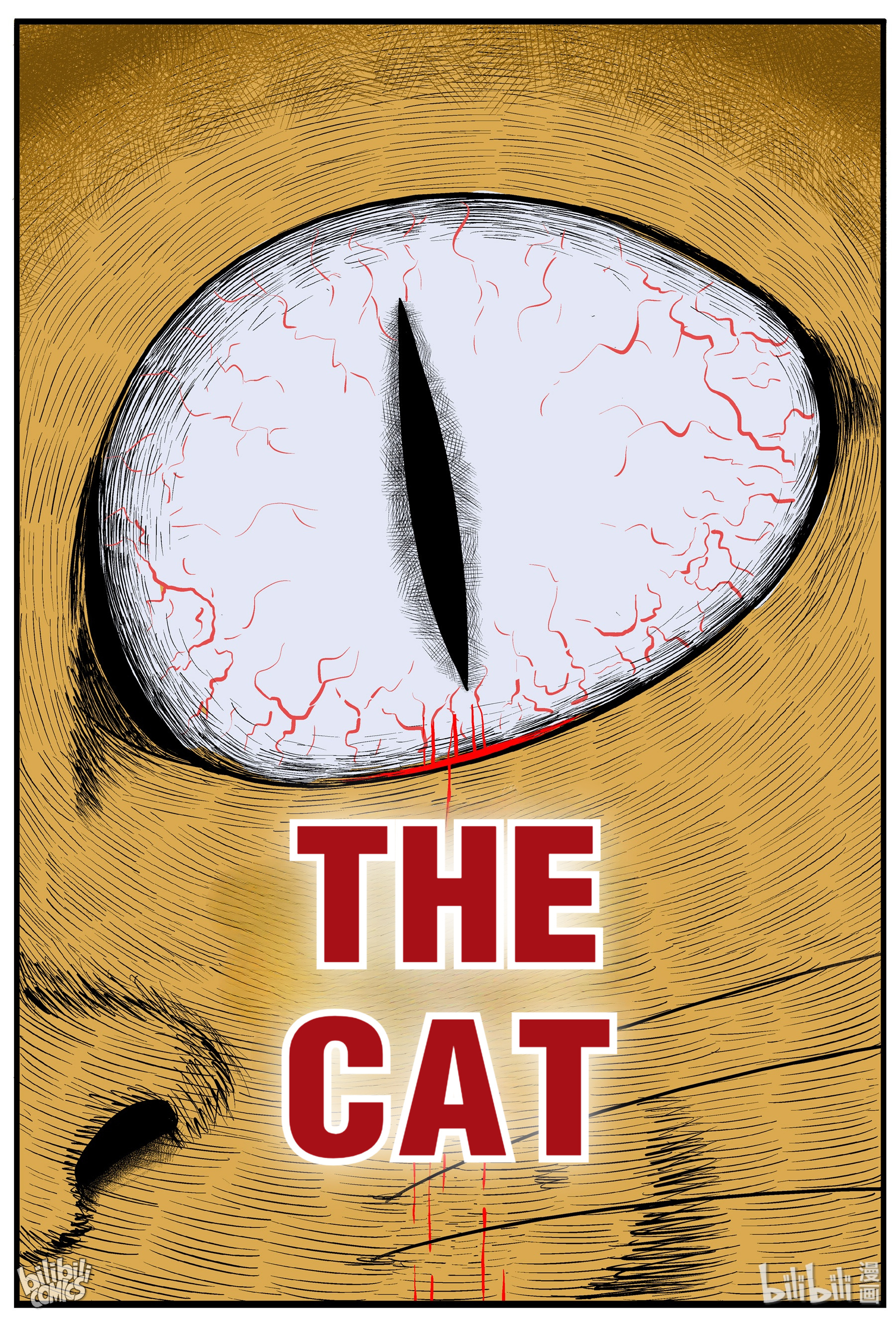 Strange Tales Of Xiao Zhi - Chapter 163: The Cat