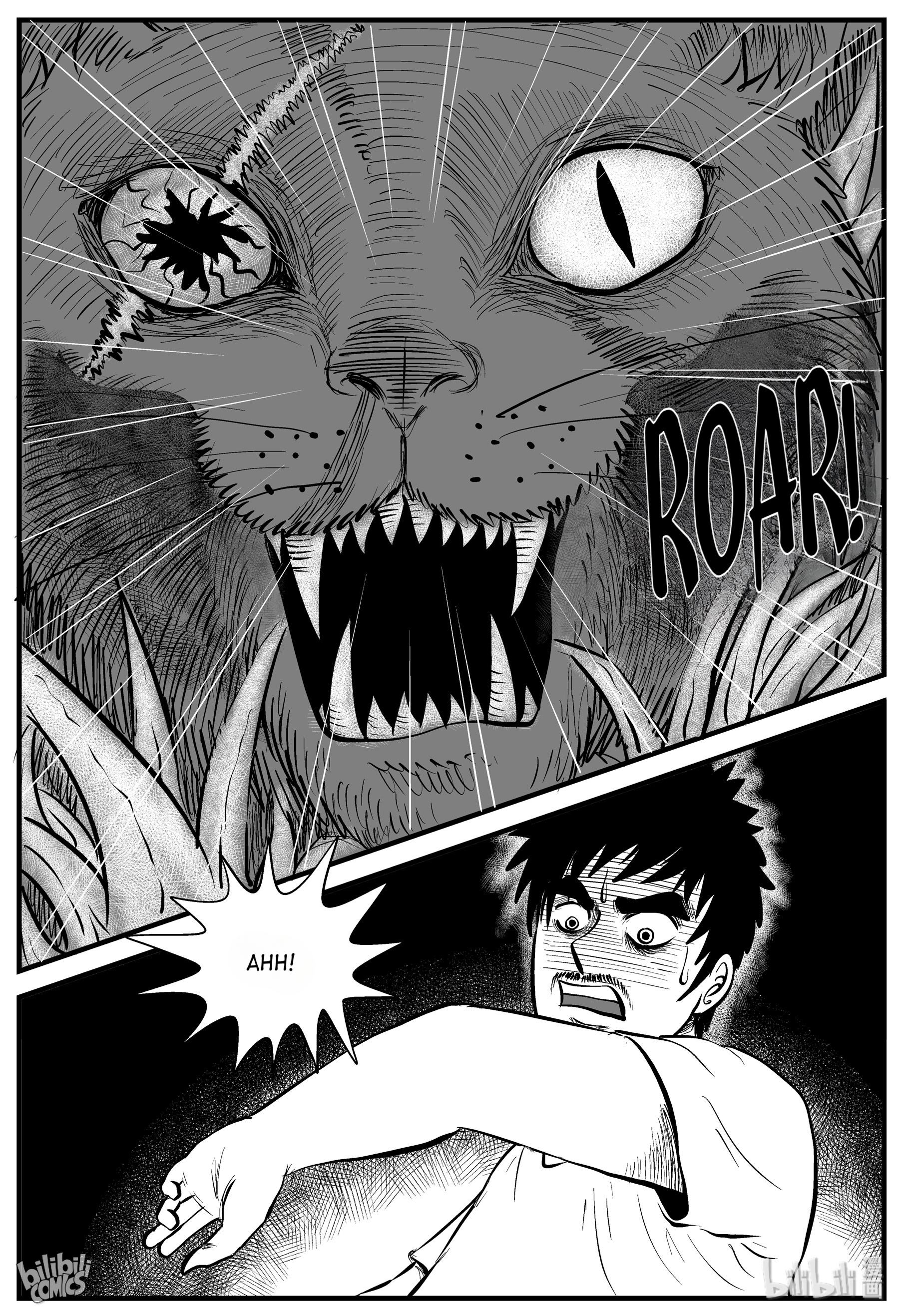 Strange Tales Of Xiao Zhi - Chapter 163: The Cat