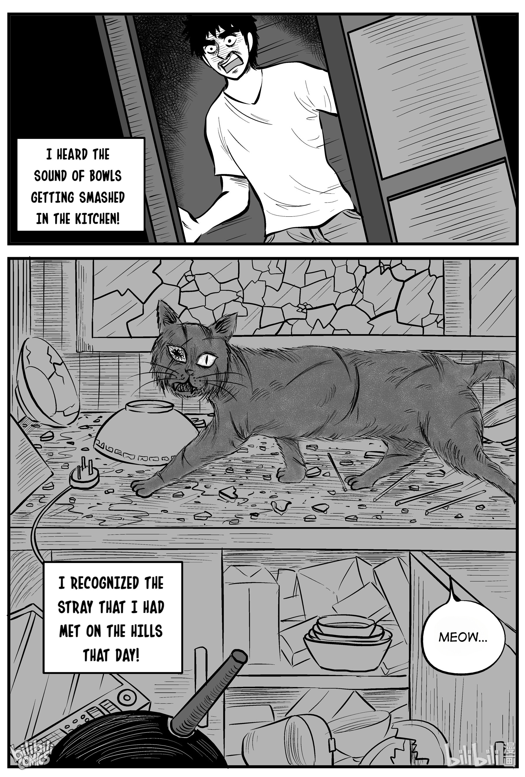 Strange Tales Of Xiao Zhi - Chapter 163: The Cat