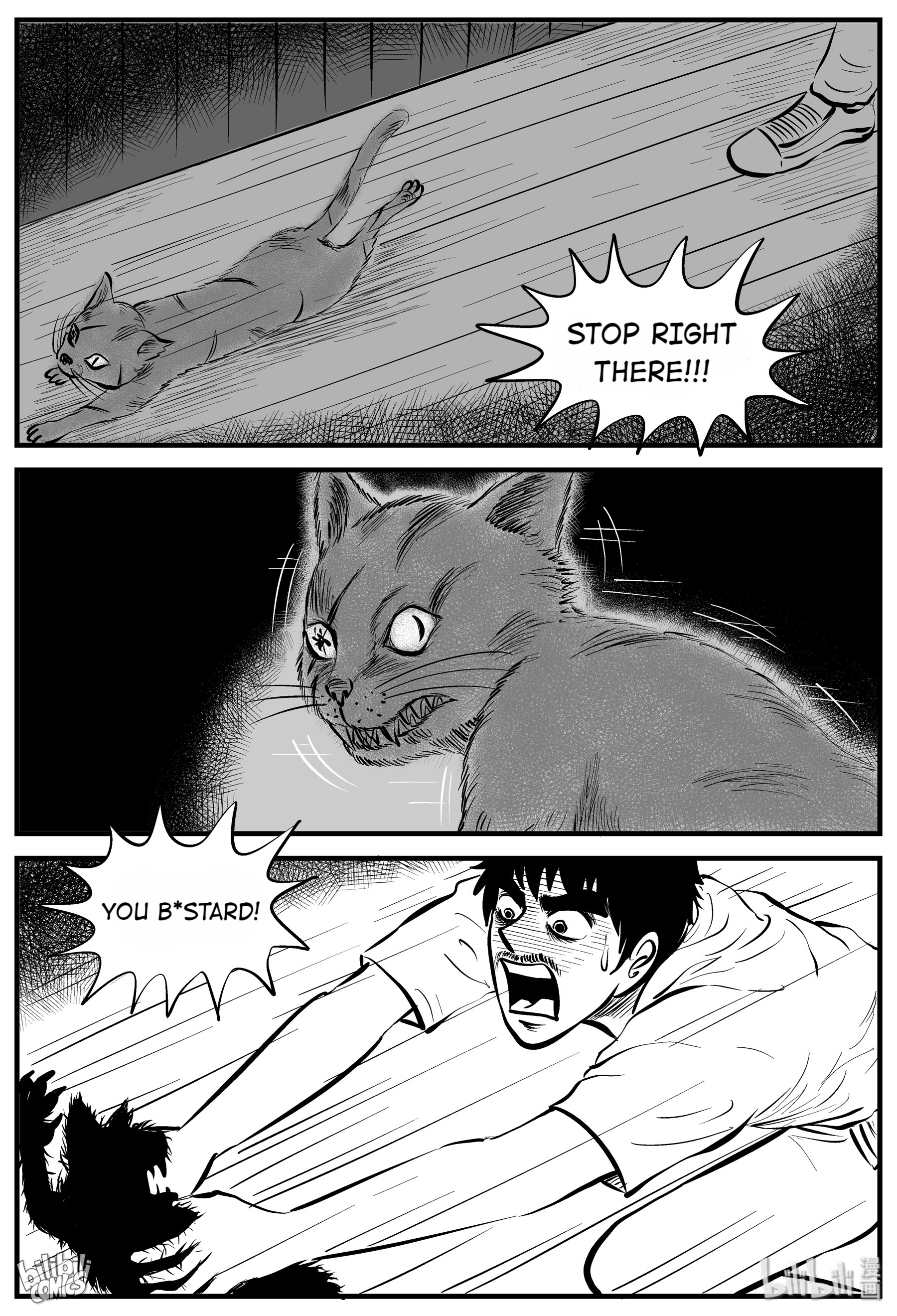 Strange Tales Of Xiao Zhi - Chapter 163: The Cat