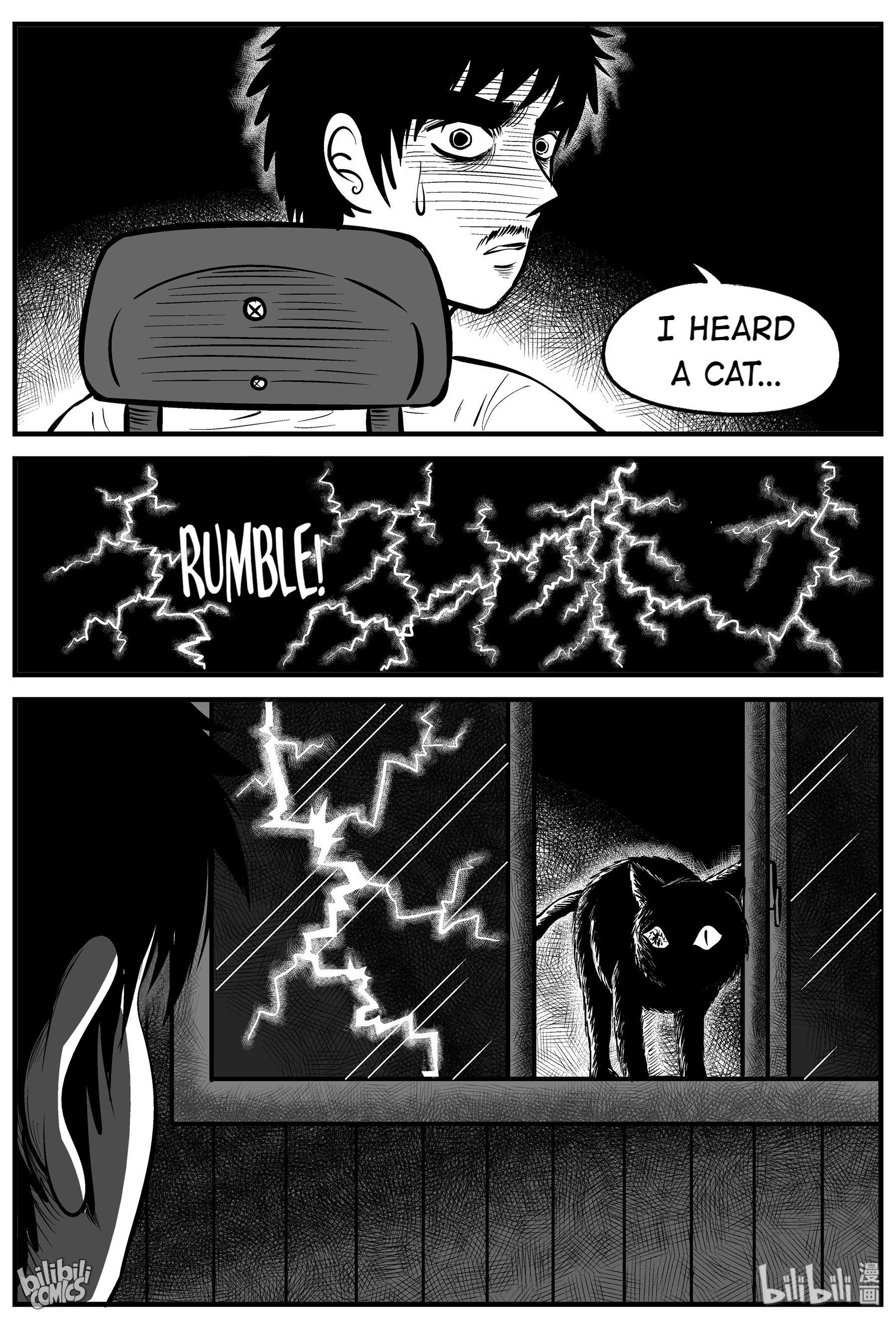 Strange Tales Of Xiao Zhi - Chapter 163: The Cat