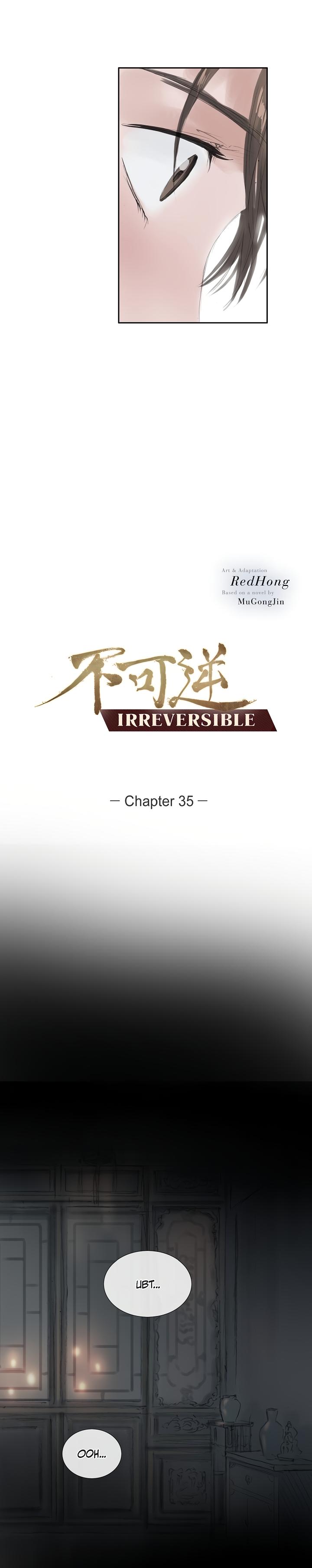 Irreversible - Chapter 35