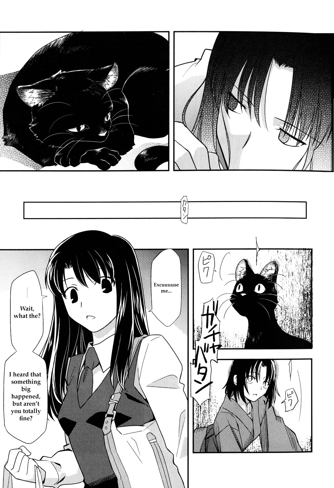 Kara No Kyoukai - Mirai Fukuin - Chapter 1 : Feline