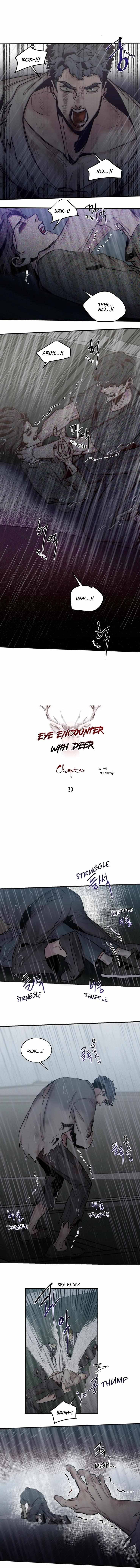 Eye Encounter With The Deer - Chapter 30