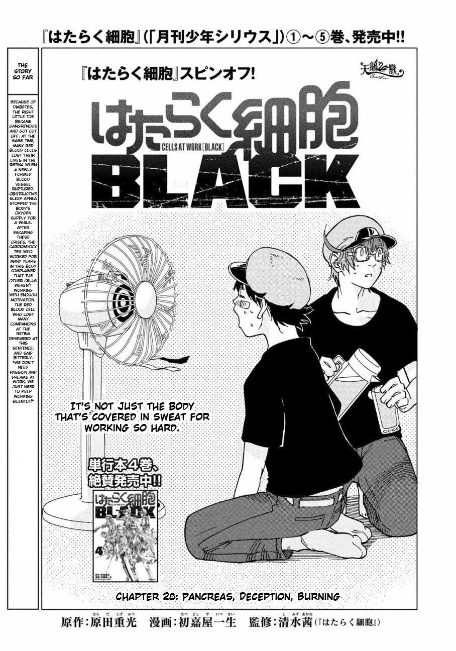 Hataraku Saibou Black - Chapter 28: Pancreas, Fraud, Inferno