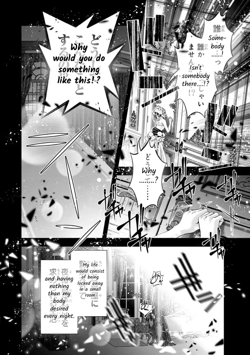 The Substitute Bride Is Captured By The Yandere Lord - Chapter 12: What Is Your New Work