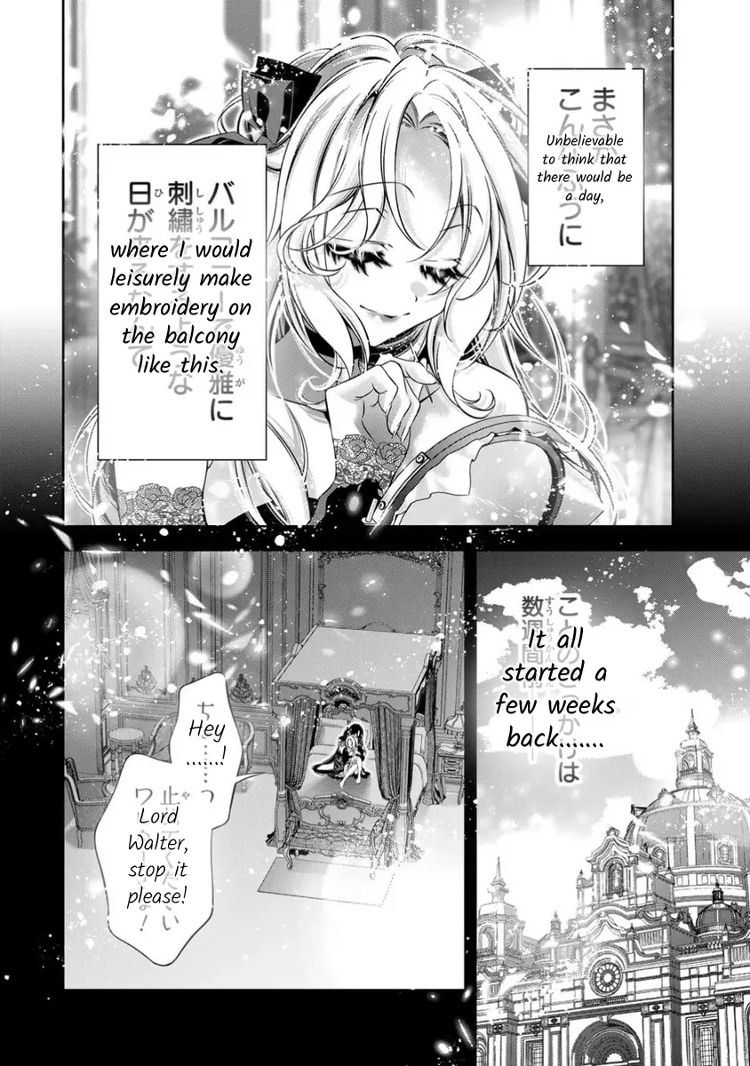 The Substitute Bride Is Captured By The Yandere Lord - Chapter 12: What Is Your New Work