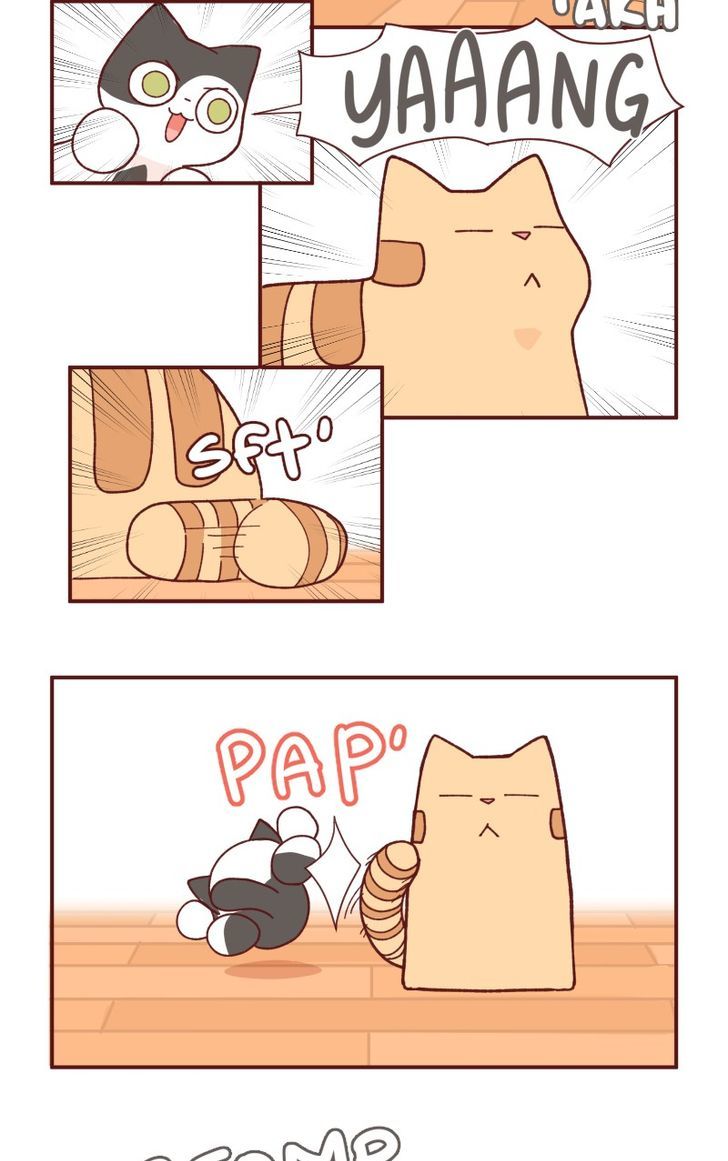 Saphie: The One-Eyed Cat - Chapter 93