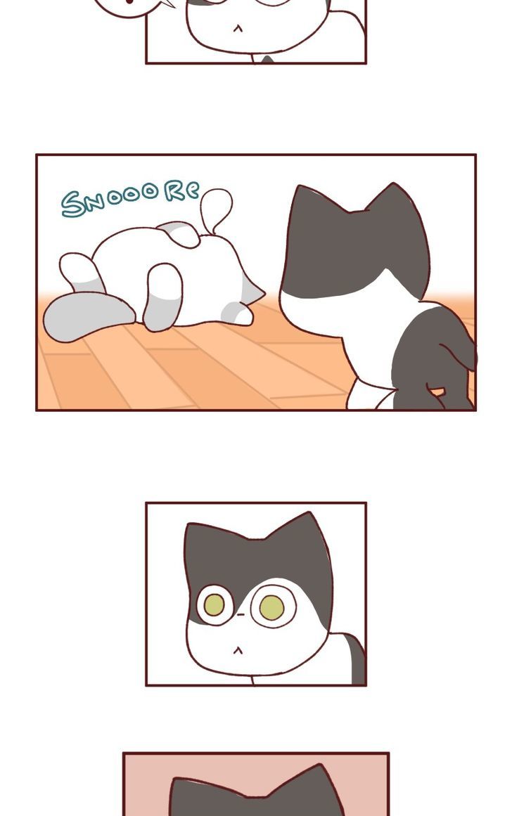 Saphie: The One-Eyed Cat - Chapter 93