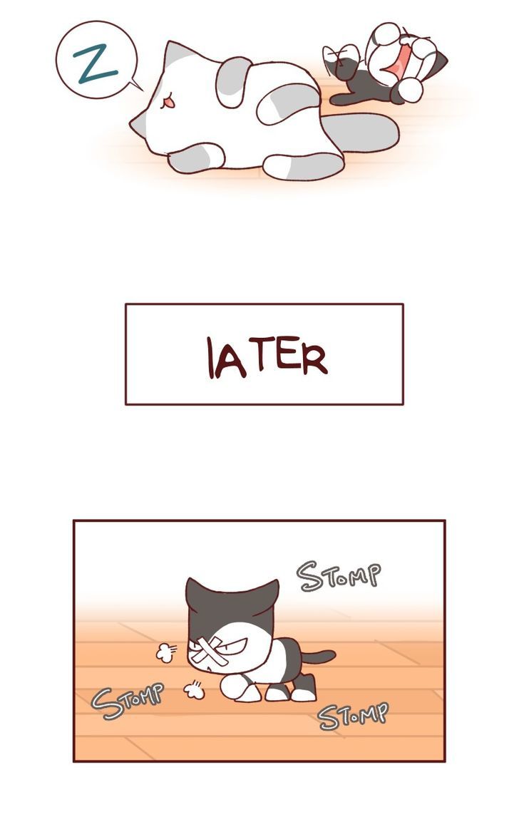 Saphie: The One-Eyed Cat - Chapter 93