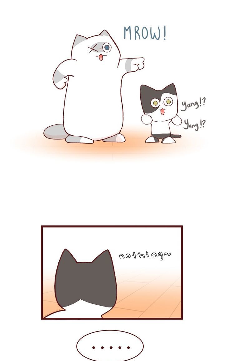 Saphie: The One-Eyed Cat - Chapter 61