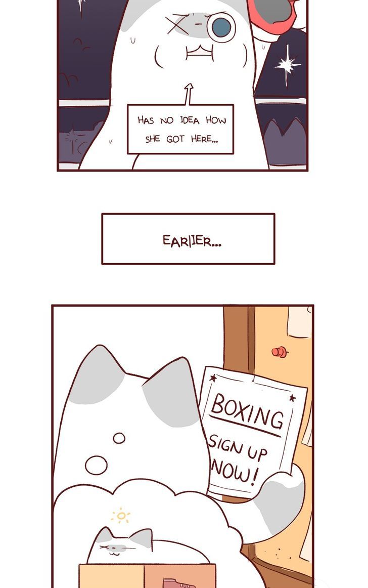 Saphie: The One-Eyed Cat - Chapter 53